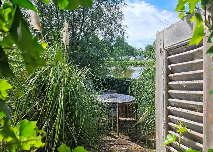 Verborgen Parel Aan De Rotte