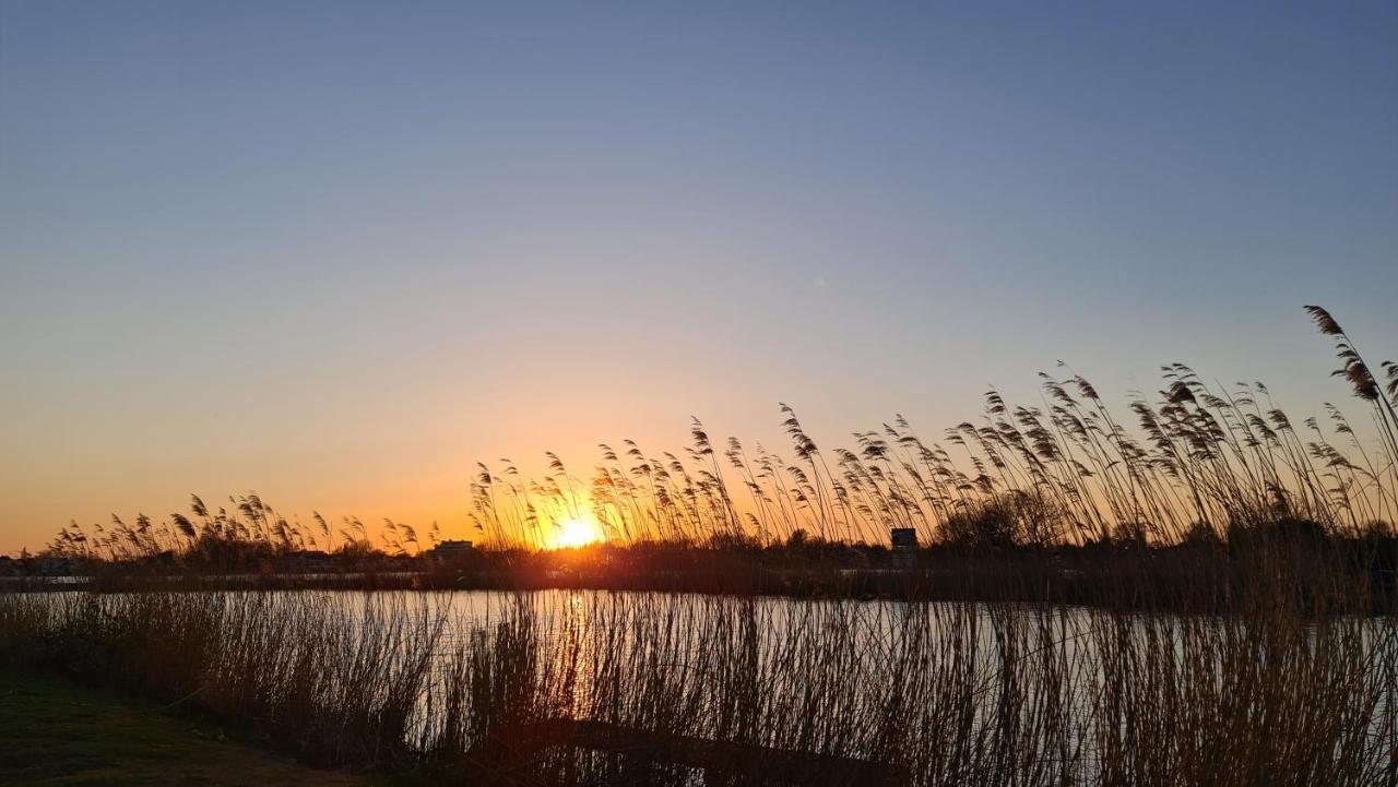 Appartamento Verborgen Parel Aan De Rotte Rotterdam
